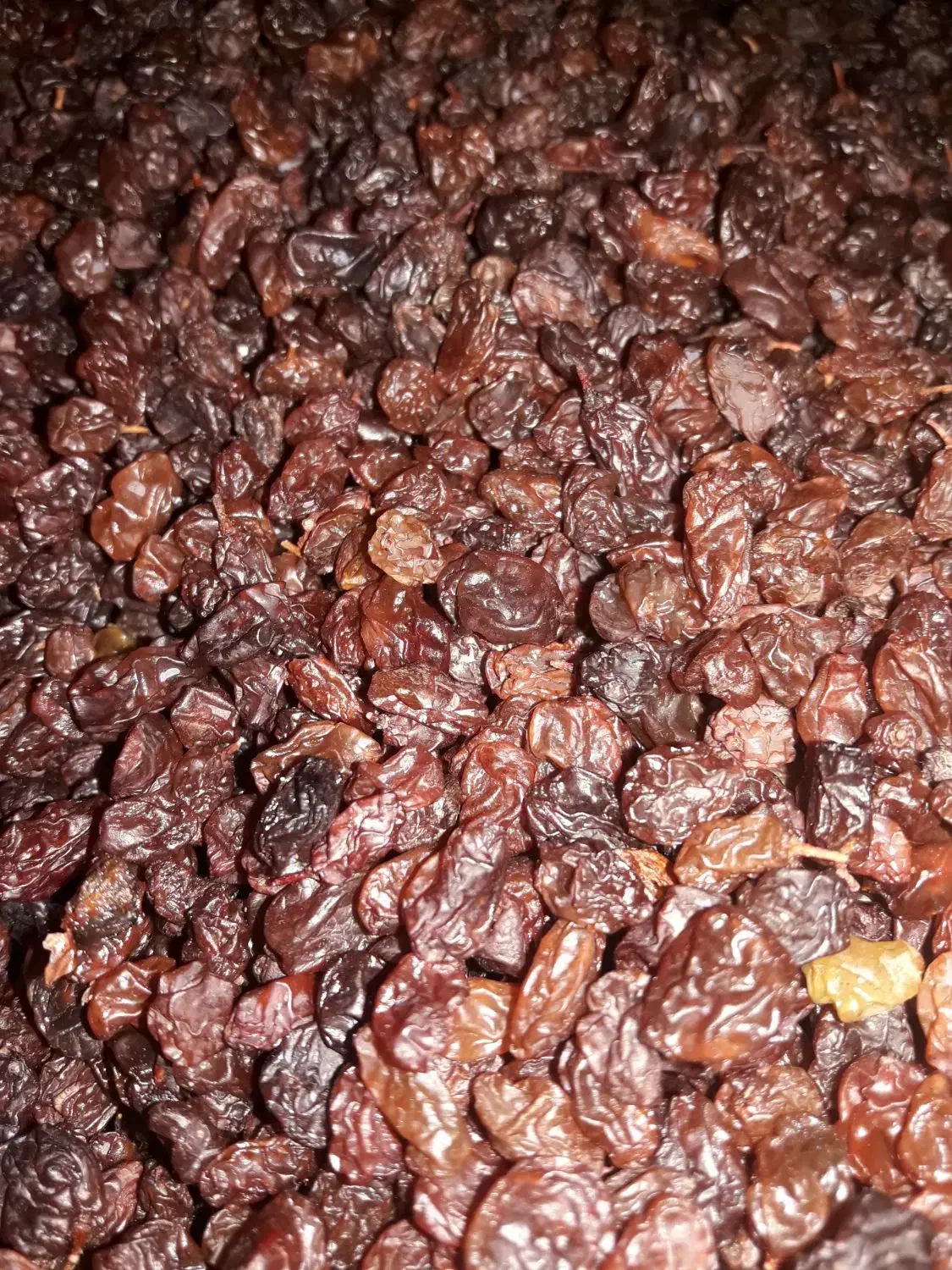 قیصی زردآلوکشمش شیره انگور دوشاب|خوردنی و آشامیدنی|مشگین شهر, |دیوار