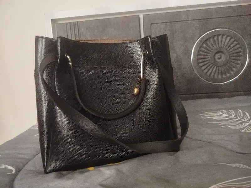 کیف مجلسی|کیف، کفش، کمربند|نیشابور, خط کاشمر|دیوار