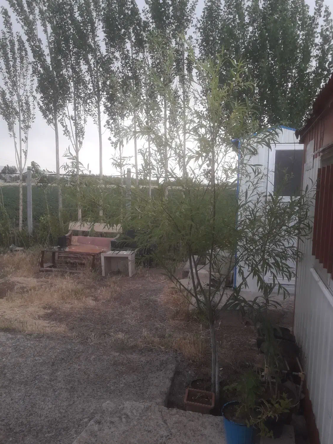 زمین باغ ویلا جاده خلخال نرسیده پلیس راه ارللو|فروش زمین و ملک کلنگی|هیر, |دیوار