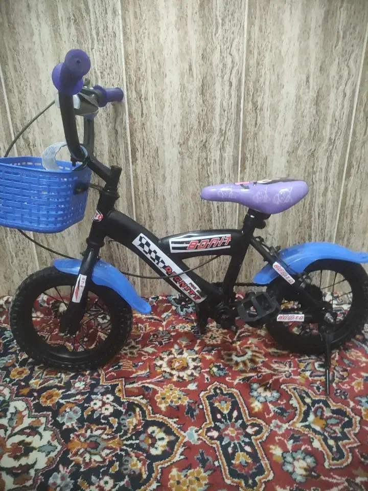 دوچرخه|دوچرخه، اسکیت، اسکوتر|تربت جام, میان جام|دیوار