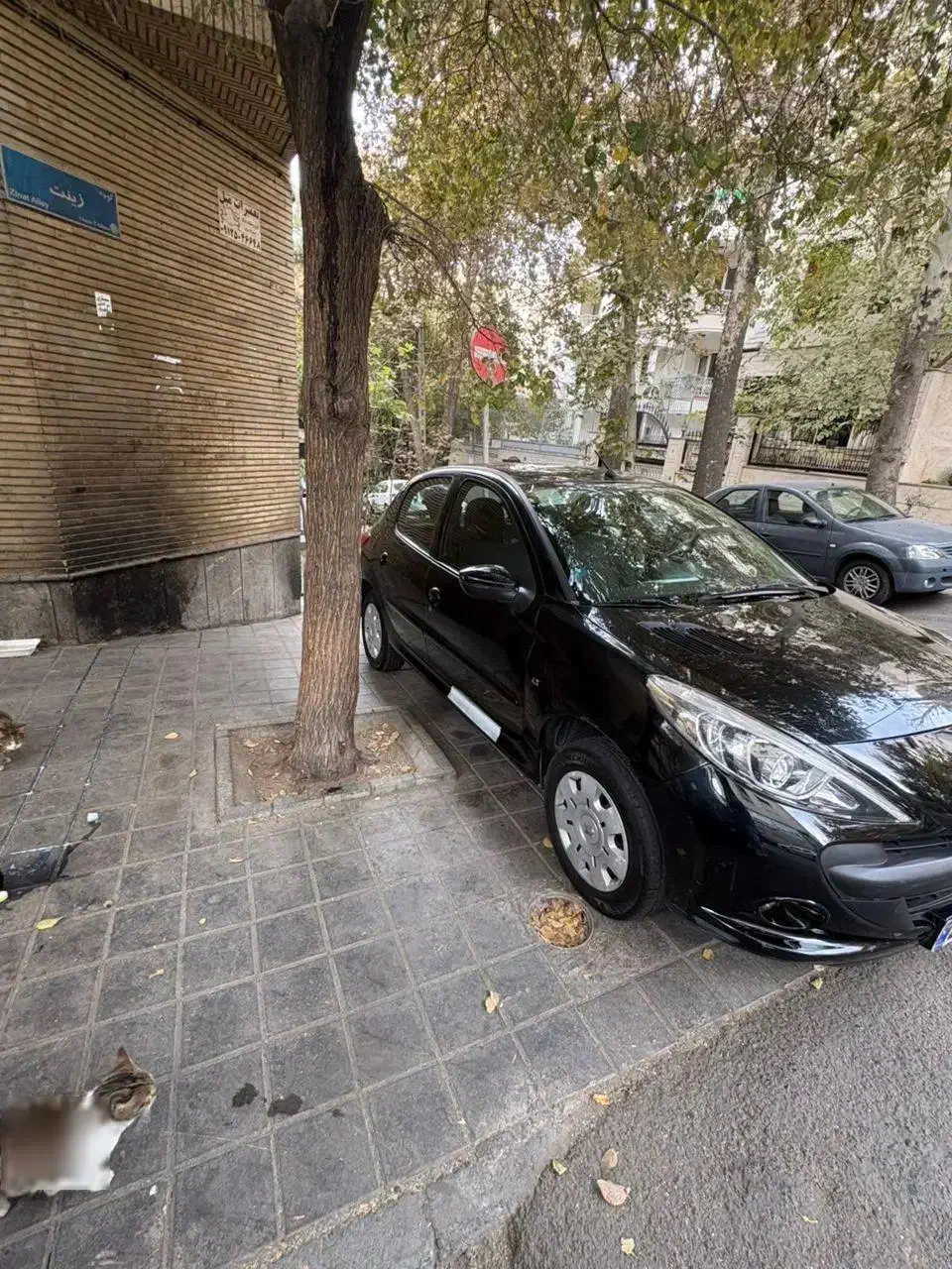 پژو ۲۰۷ مدل ۱۴۰۱ سقف فلز دنده|خودرو سواری و وانت|تهران, گیشا|دیوار