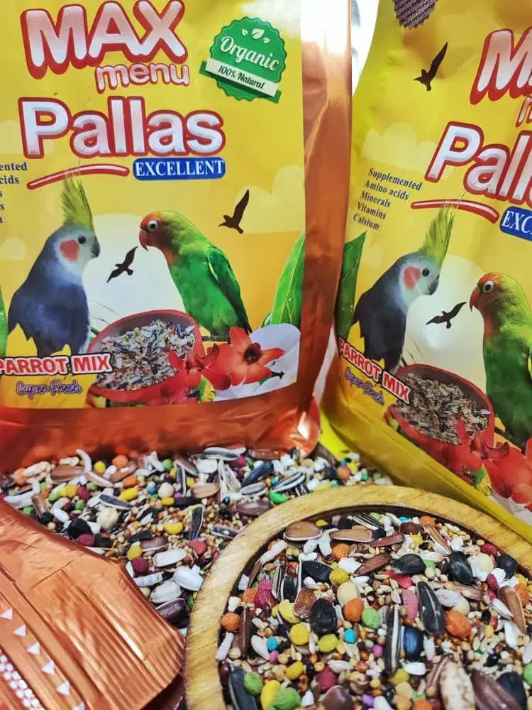 دان پرنده عروس هلندی و گرینچیک و کوتوله برزیلی و.|لوازم جانبی حیوانات|قم, باسکول|دیوار