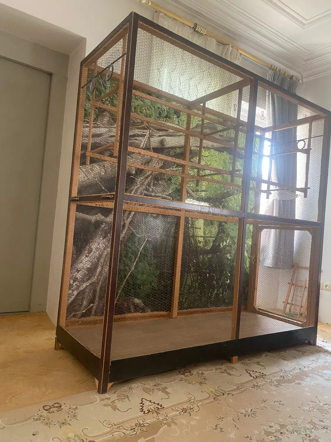 قفس پرندگان|لوازم جانبی حیوانات|لاهیجان, رجایی|دیوار