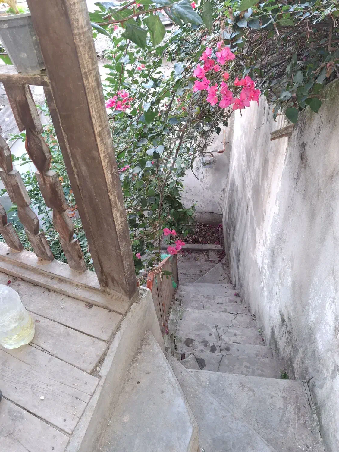 نیازمند همخونه|اجارهٔ خانه و ویلا|گرگان, |دیوار