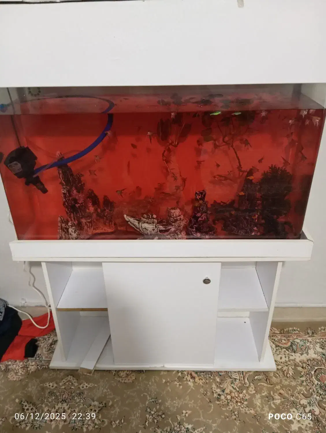 آکواریم|ماهی|نظرآباد, مسکن مهر نظرآباد|دیوار