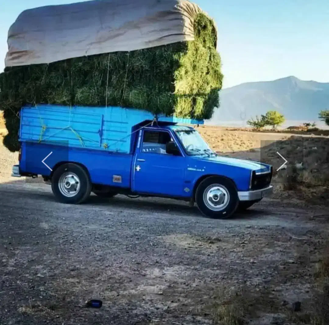 حمل بار سریع و مطمئن با نیسان|خدمات حمل و نقل|لامرد, |دیوار