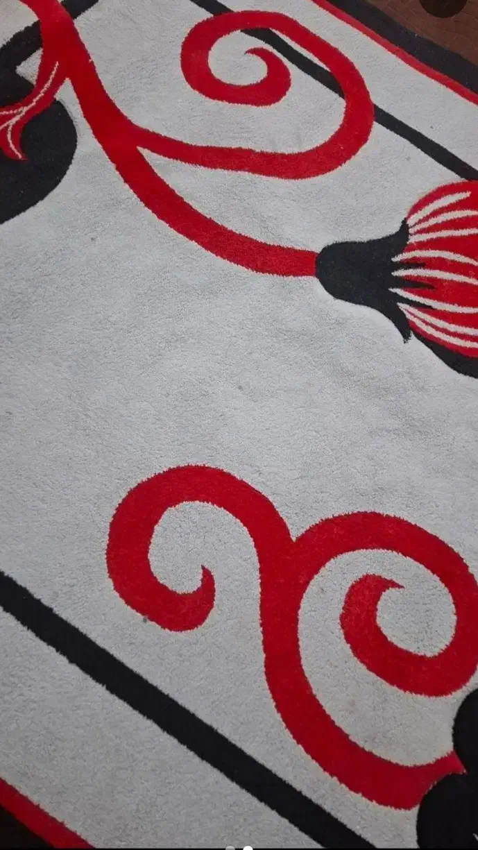 گلیم ۶ متری|گلیم، جاجیم، گبه|زاهدان, |دیوار