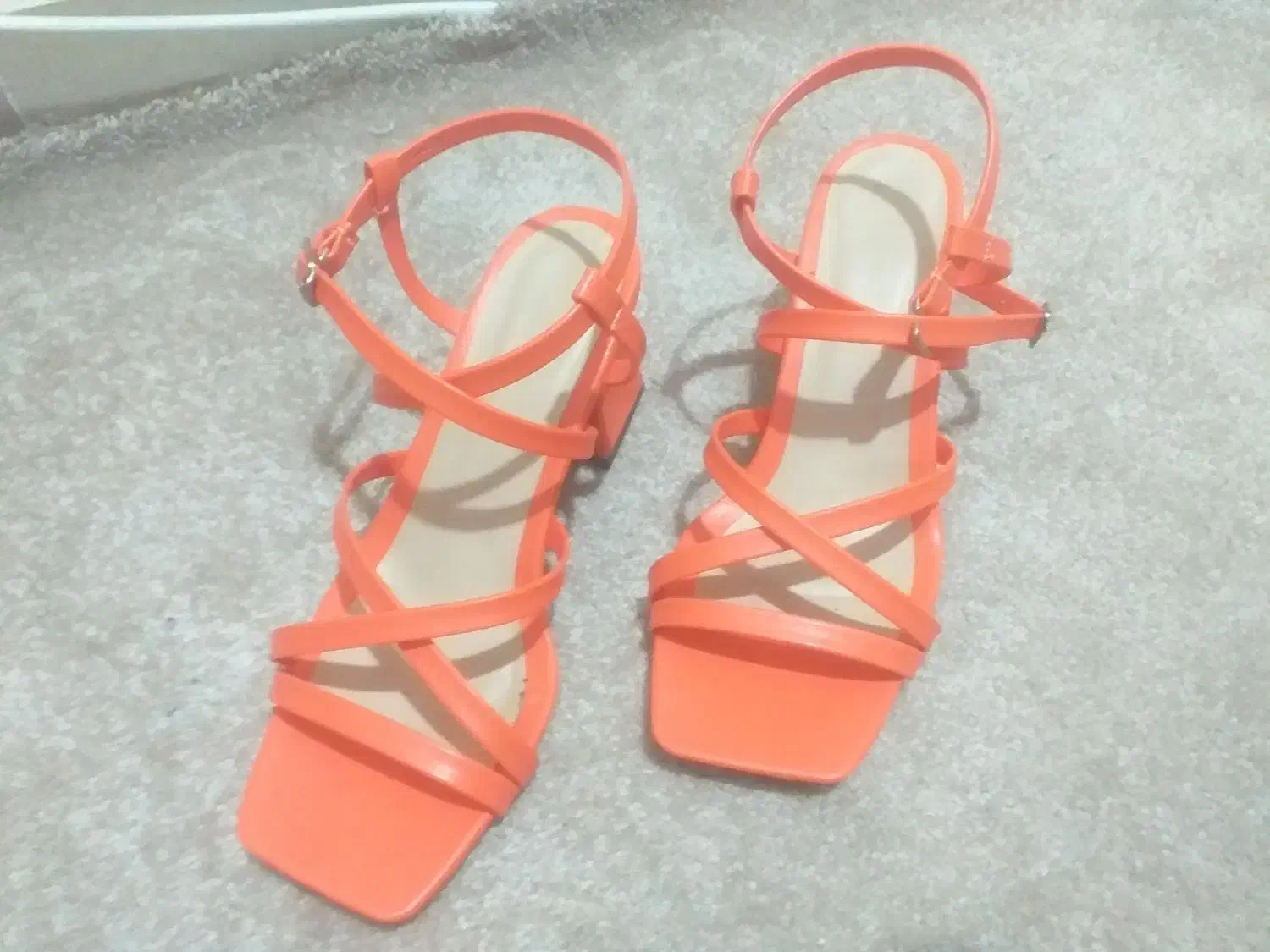 کفش|کیف، کفش، کمربند|اهواز, کوی باهنر|دیوار