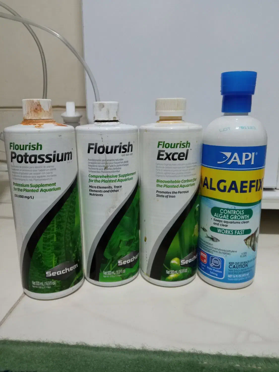 کپسول ونور وخاک بستر|ماهی|شیراز, نصر|دیوار