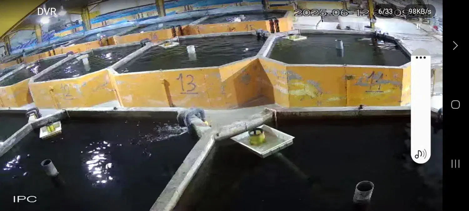 نظافت سالن|خدمات نظافت|همدان, |دیوار