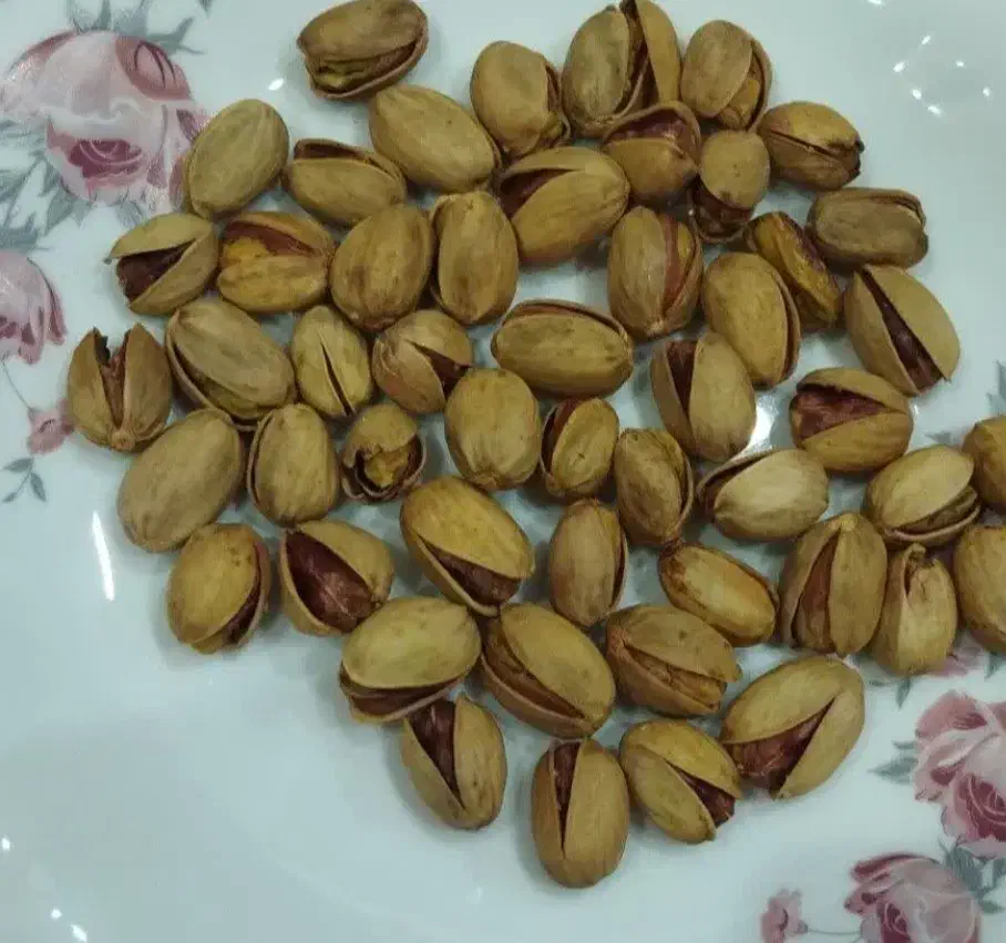 پسته|عمده‌فروشی|کرج, برغان|دیوار