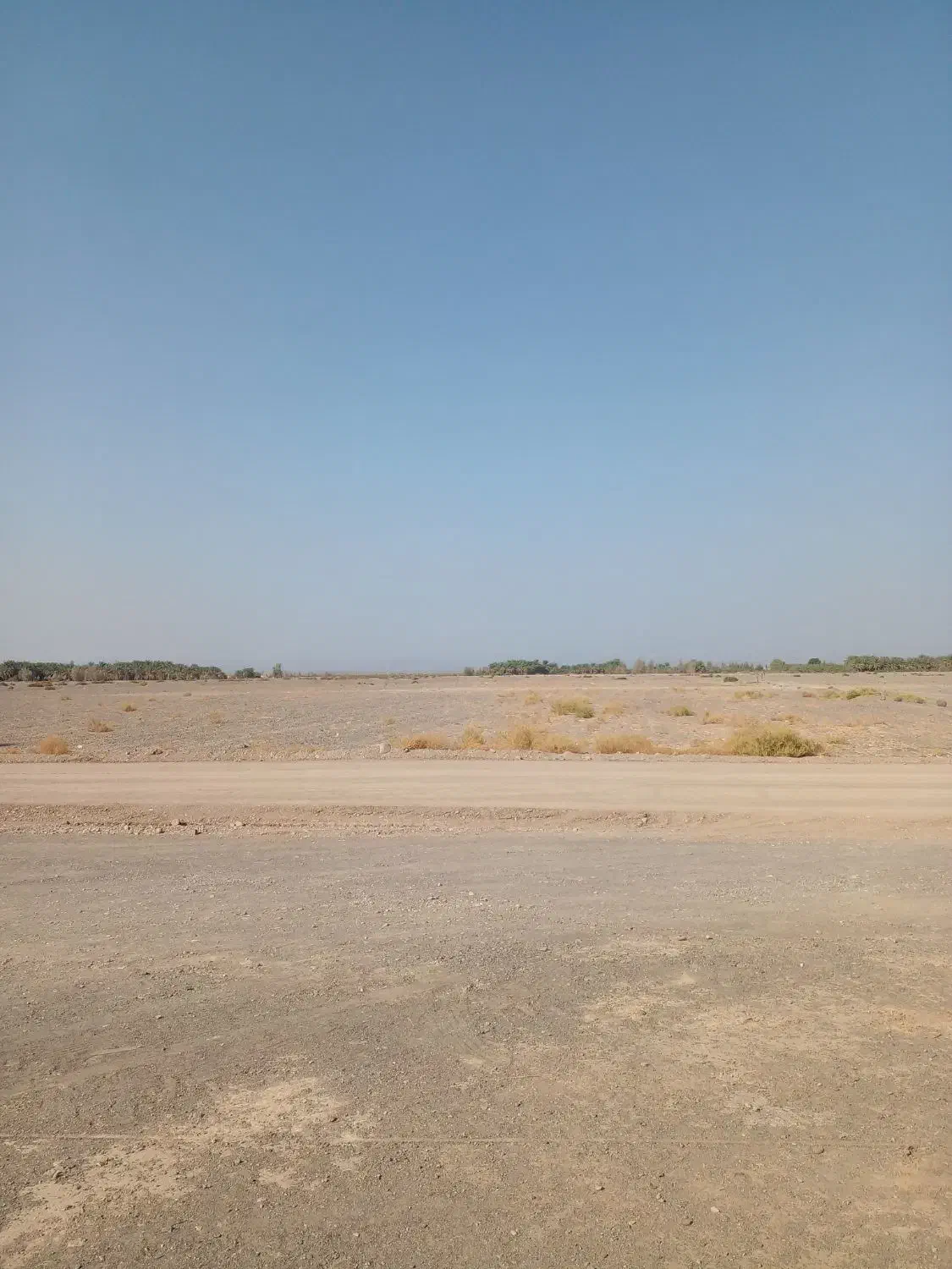 زمین اجاره ایی داده میشود|فروش دفتر صنعتی، کشاورزی، تجاری|جازموریان, |دیوار