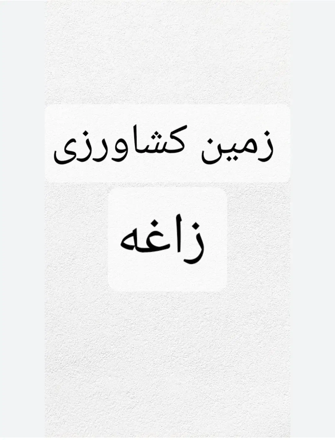 زمین کشاورزی آبی زاغه|فروش زمین و ملک کلنگی|زاغه, |دیوار