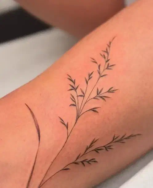 تتو بدن|خدمات آرایشگری و زیبایی|سبزوار, امیر کبیر|دیوار