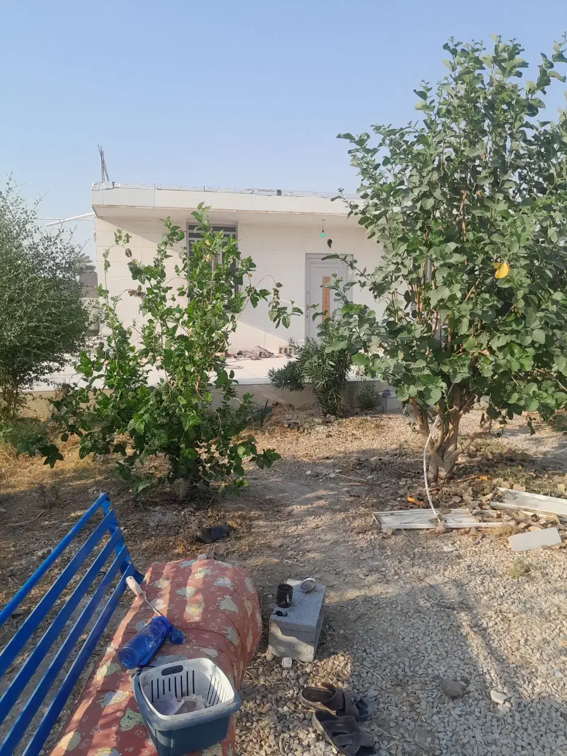 اجاره ساعتی ویلا باغ|اجارهٔ خانه و ویلا|رامهرمز, |دیوار