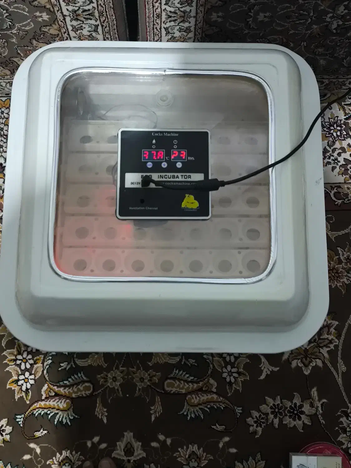 دستگاه جوجه کشی.84 عددی  کاکس|لوازم جانبی حیوانات|قم, دانش|دیوار