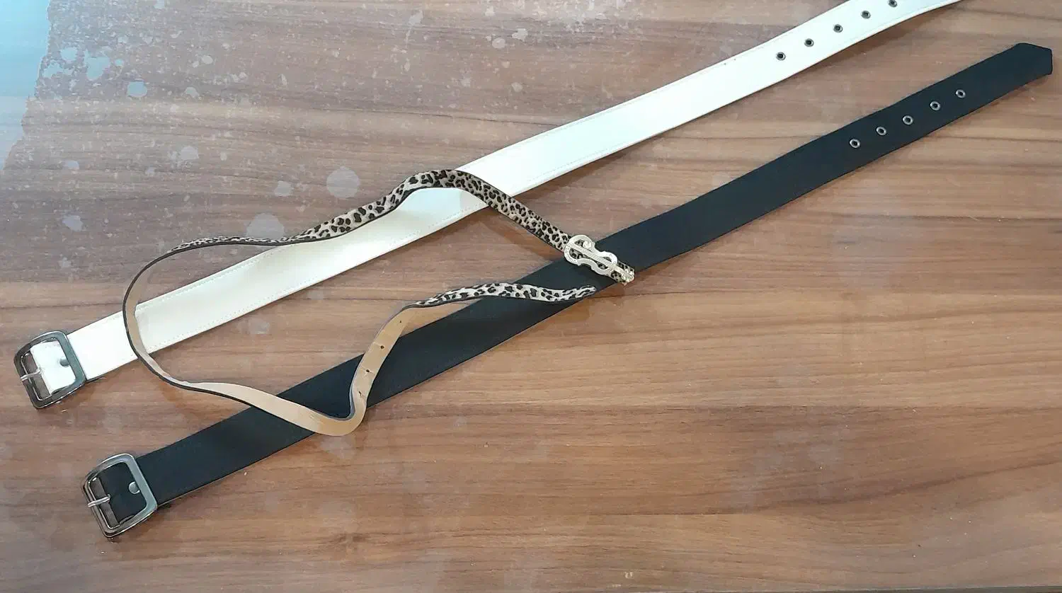 تعداد زیادی کمربندهای بچگانه با سگک های متنوع|کیف، کفش، کمربند|اصفهان, محمودیه|دیوار