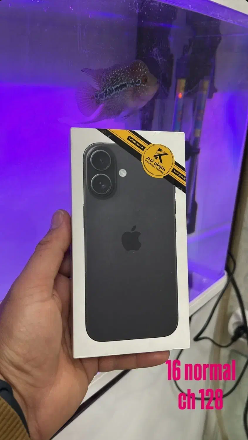 فروش گوشی آیفون ۱۶ نرمال|موبایل|برخوار, |دیوار