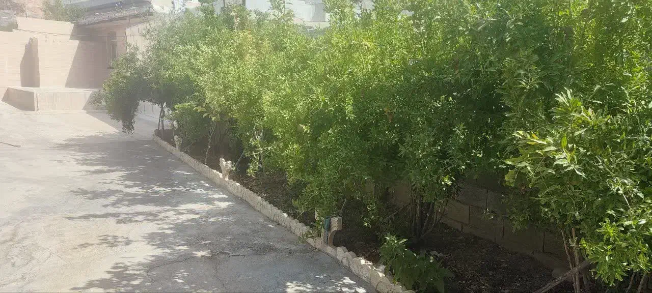 فروش1000مترزمین جلو خیابان زاغه|فروش زمین و ملک کلنگی|زاغه, |دیوار