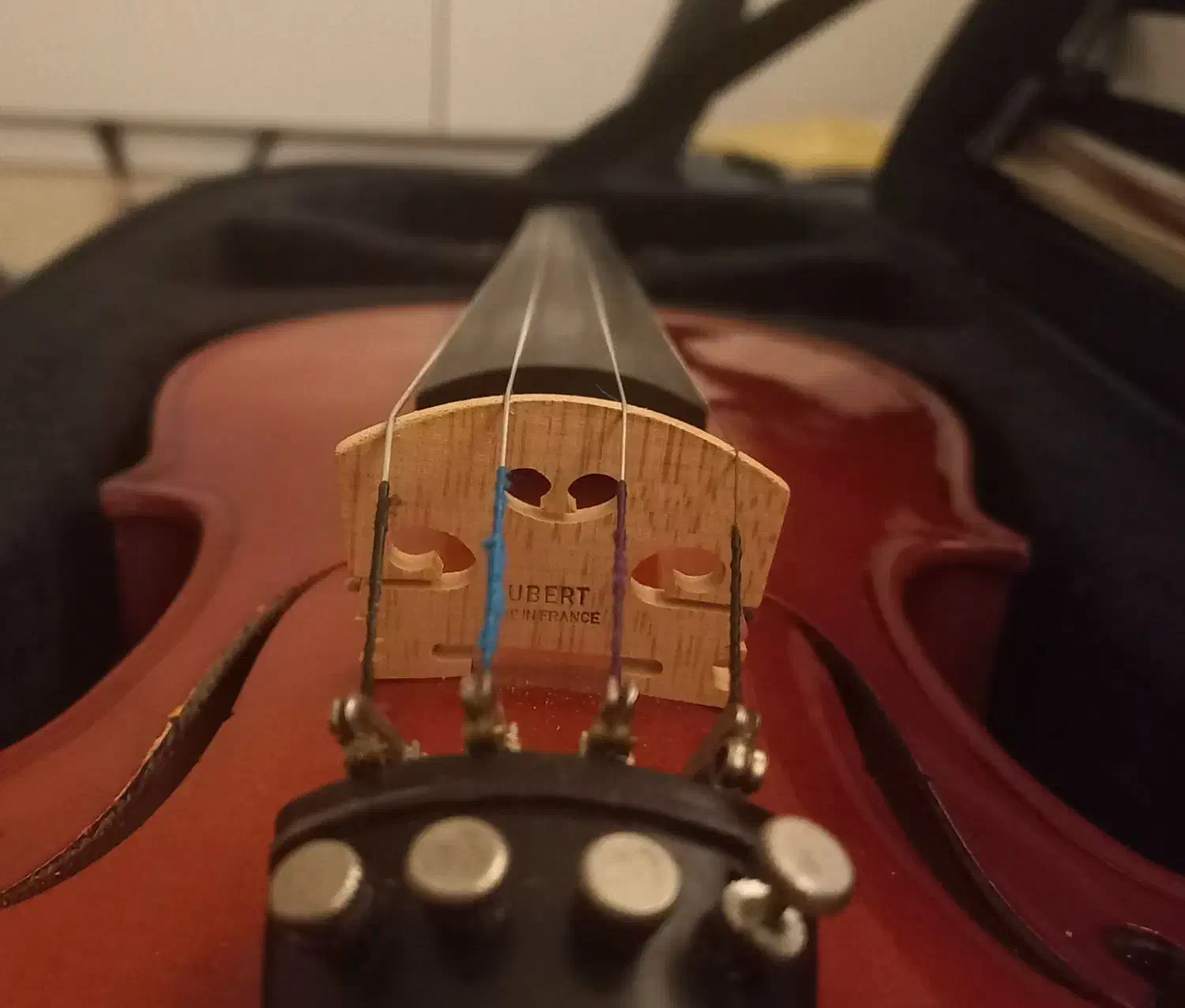 ساتیلیق ویولن|ویولن|ارومیه, |دیوار