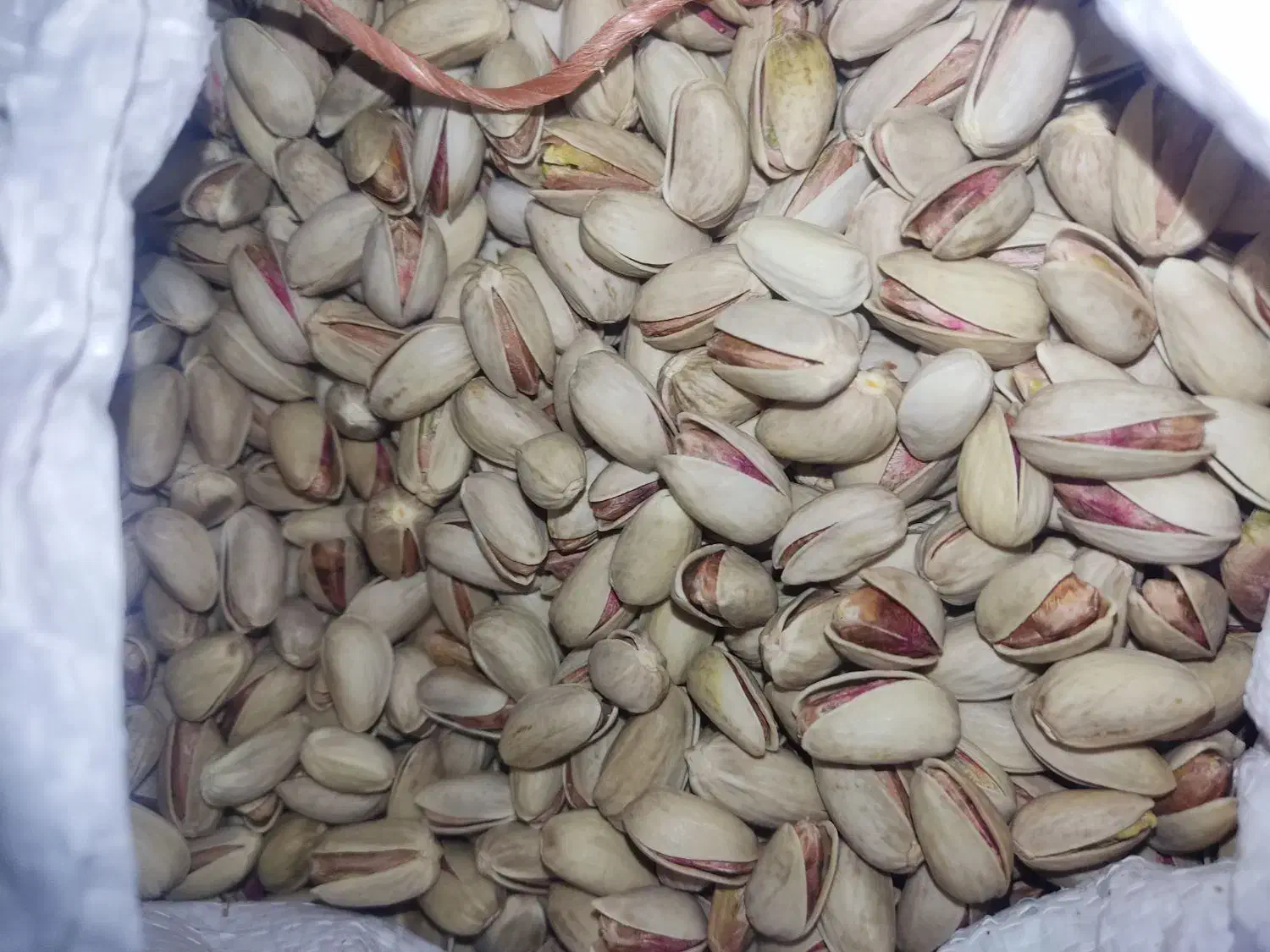 پستهی اکبری|خوردنی و آشامیدنی|خاتم, |دیوار