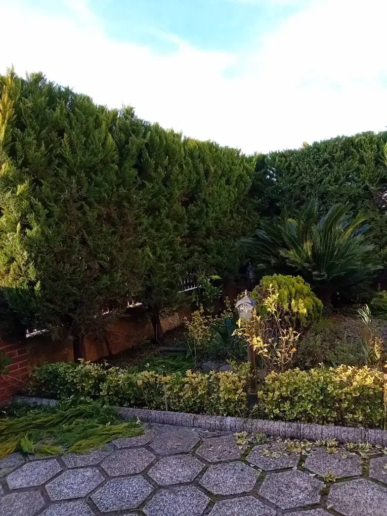 علفتراشی  بریدن درخت وکلیه کارهای  باغبانی|خدمات باغبانی و درختکاری|نوشهر, |دیوار