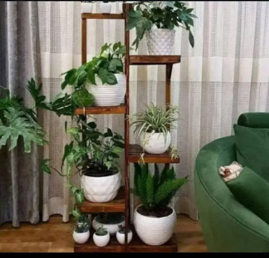 تولید و پخش جاگلدانی  و استند|گل و گیاه طبیعی|دلیجان, |دیوار