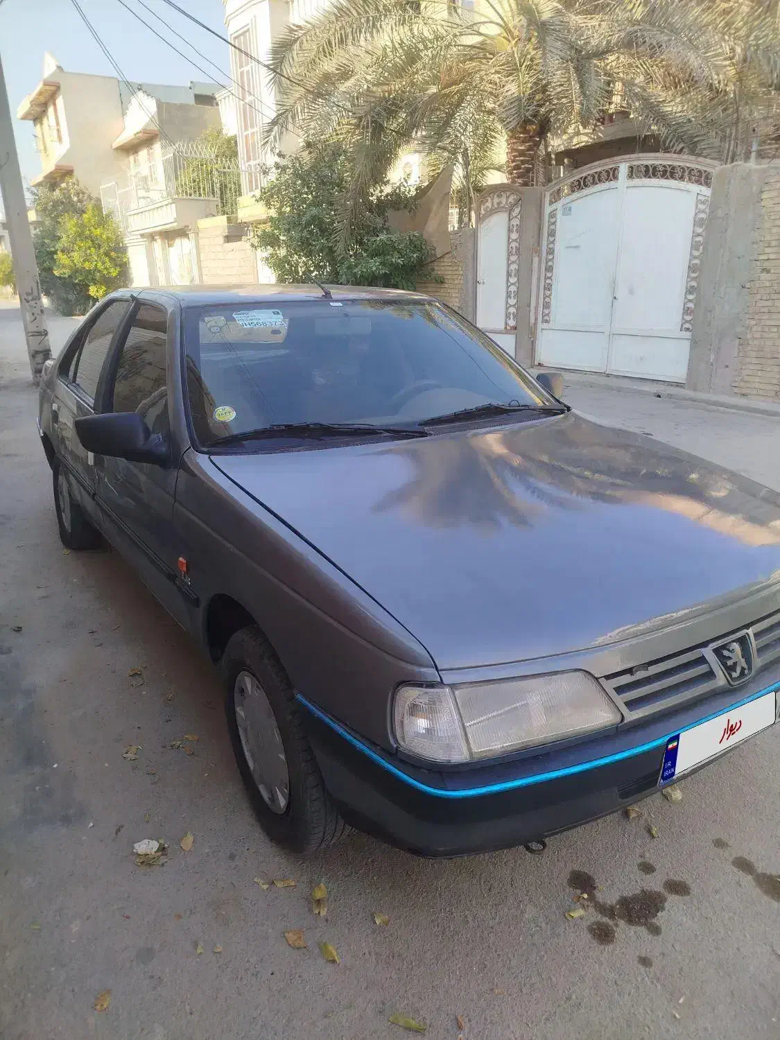 پژو دلفینی مدل 93|خودرو سواری و وانت|بندر گناوه, |دیوار