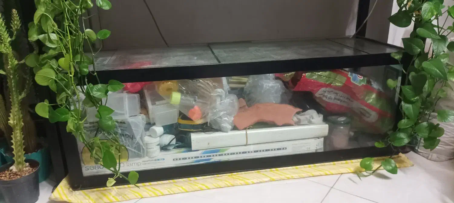 آکواریوم|ماهی|اصفهان, برازنده|دیوار