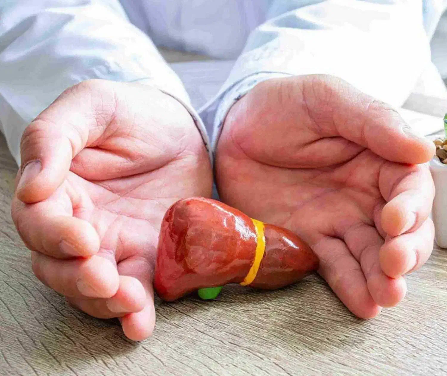 سلامتی با(معجزه رویال)|خدمات آرایشگری و زیبایی|قلعه قاضی, |دیوار