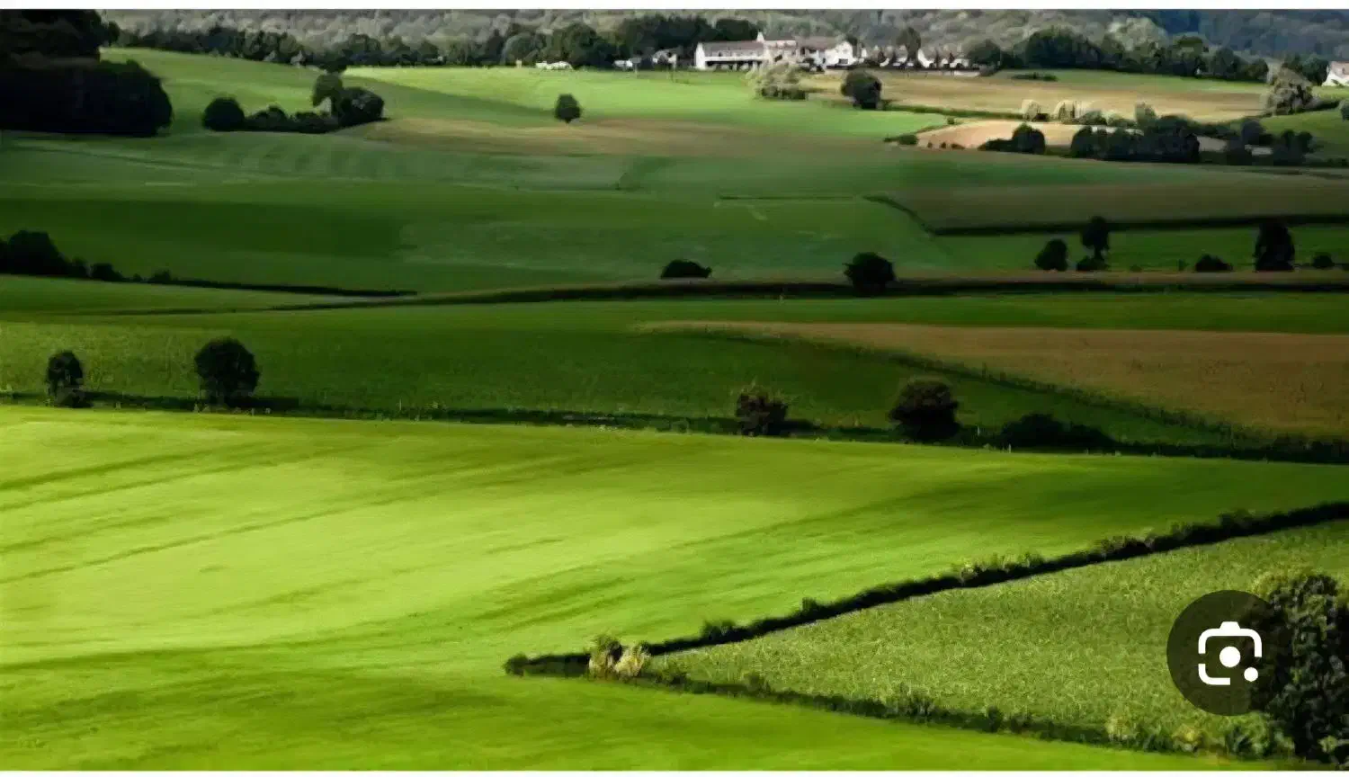 ۲۱ جریب زمین زراعی|فروش زمین و ملک کلنگی|کیار, |دیوار