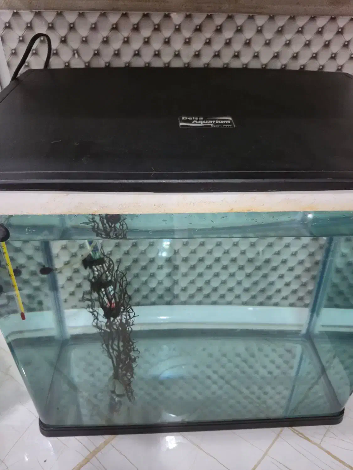 آکواریوم کامل دلسا همراه با ماهی|ماهی|فردیس, شهرک وحدت|دیوار