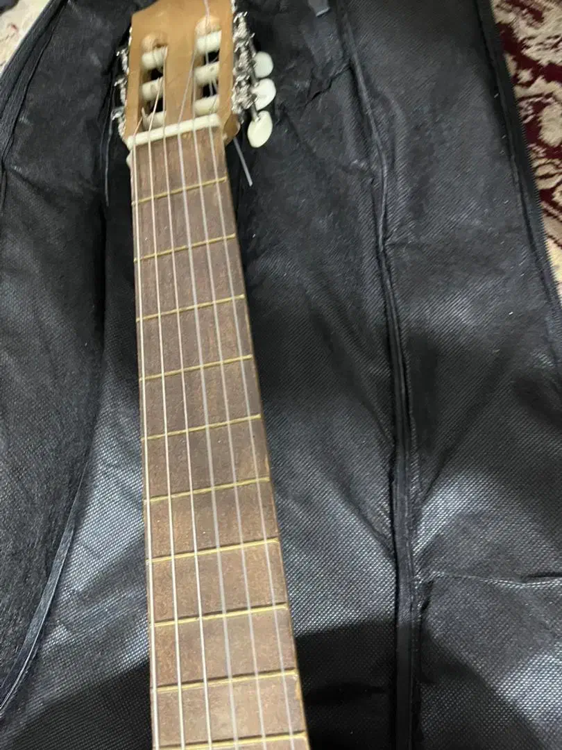 موسقی|گیتار، بیس، امپلیفایر|یزد, |دیوار