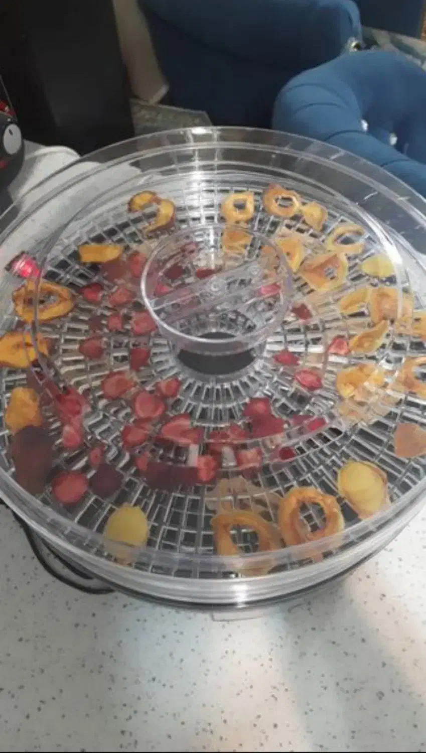 فروش میوه خشکن|سایر لوازم برقی|نقده, |دیوار