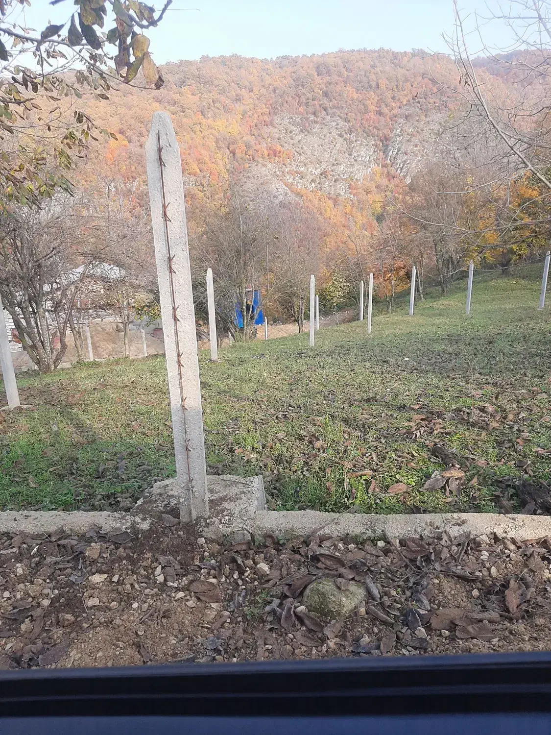 زمین ۲۵۰،۱۵۰متری در ولم|فروش زمین و ملک کلنگی|بهشهر, |دیوار