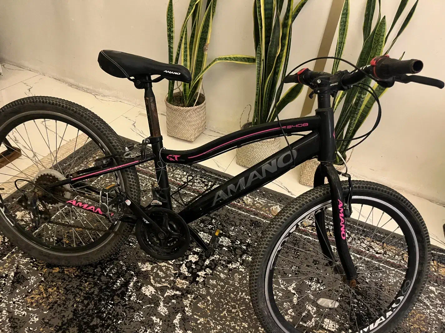 دوچرخه ۲۴|دوچرخه، اسکیت، اسکوتر|مشهد, خواجه ربیع|دیوار