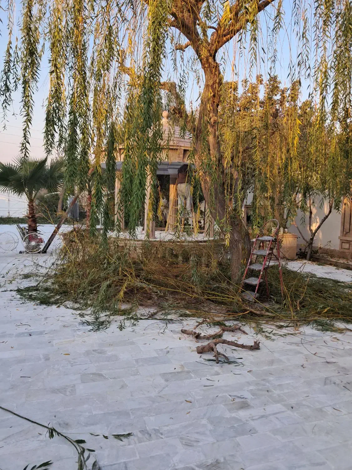 خدمات باغبانی|خدمات باغبانی و درختکاری|محمدشهر, محمدشهر|دیوار