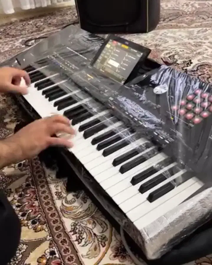 ارکسترحرفه ای و دیجی حرفه ای|خدمات پذیرایی، مراسم|گرگان, |دیوار