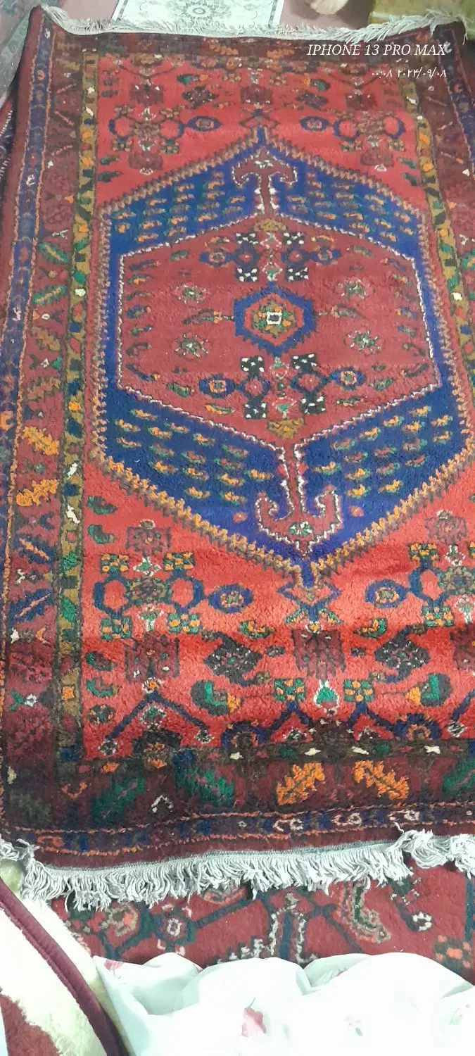 فرش پشم گوسفندی طبیعی|فرش|قیدار, |دیوار