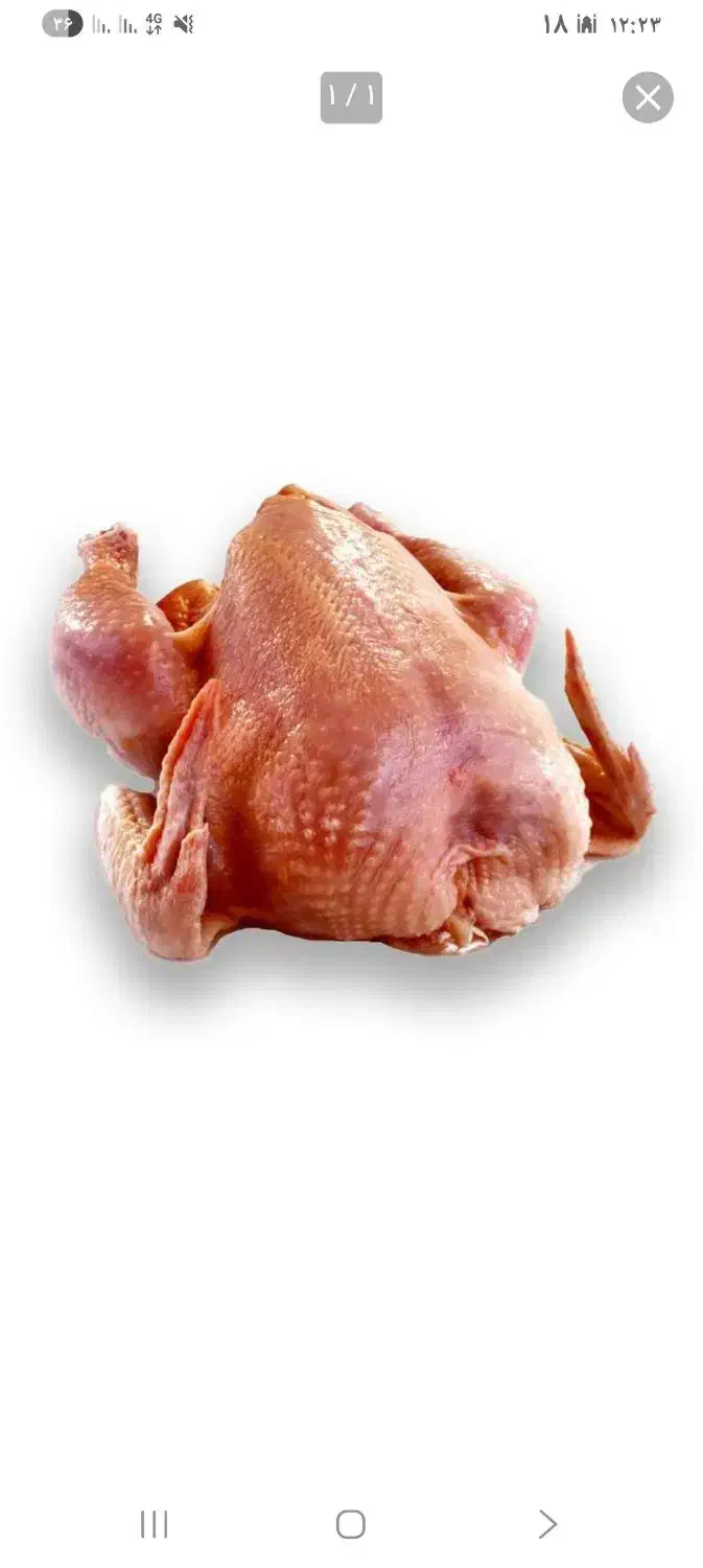 فروش مرغ محلی پاک شده ارگانیک|خوردنی و آشامیدنی|امیدیه, |دیوار