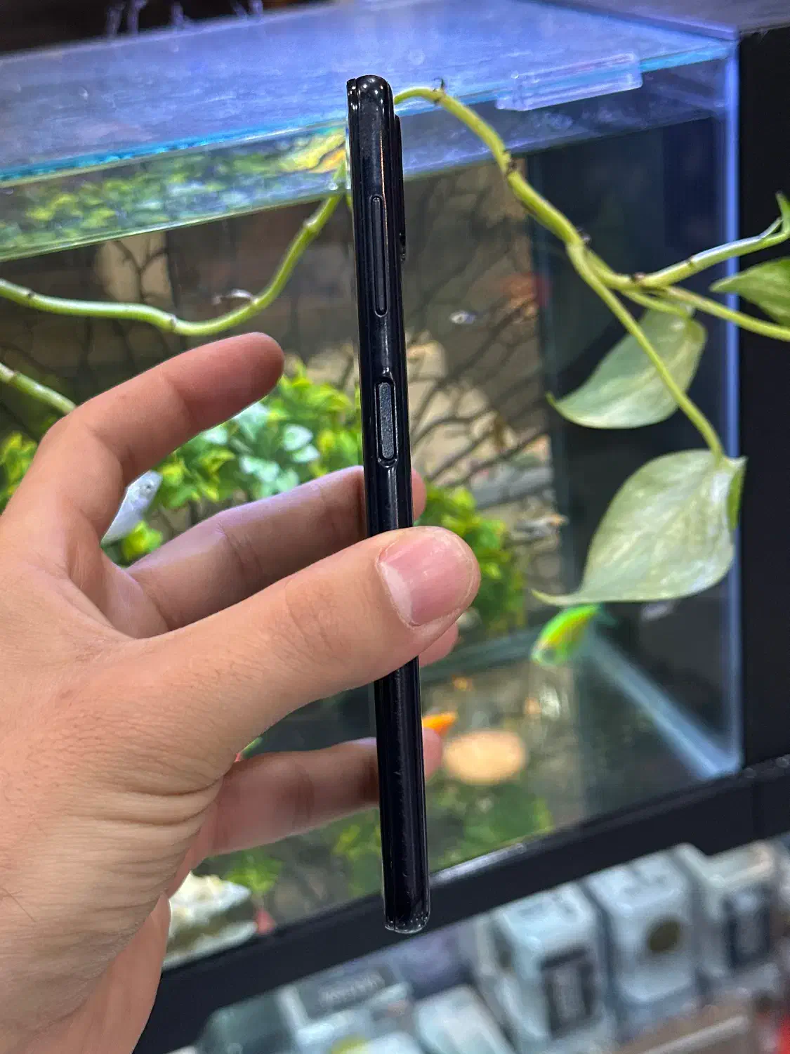 a22|موبایل|شیراز, زند|دیوار