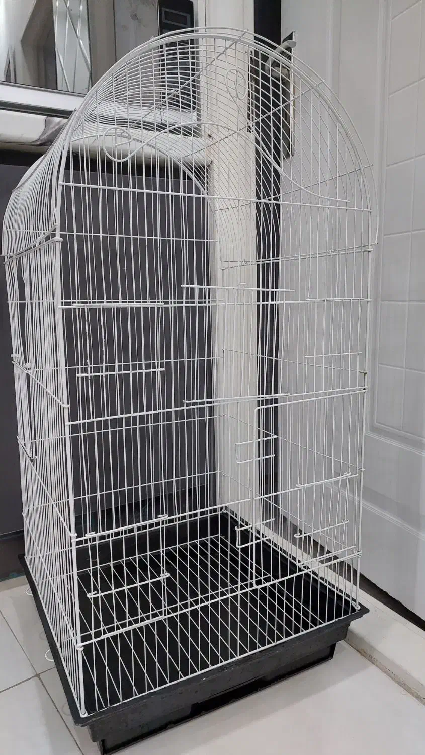 قفس بزرگ(تخفیف (جزئی) داده میشود)|لوازم جانبی حیوانات|تهران, مشیریه|دیوار