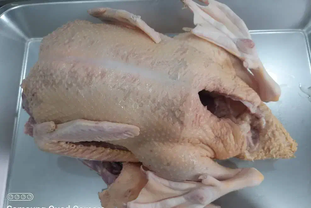 غاز و اردک روسی درشت آماده طبخ|حیوانات مزرعه|قائم‌شهر, |دیوار