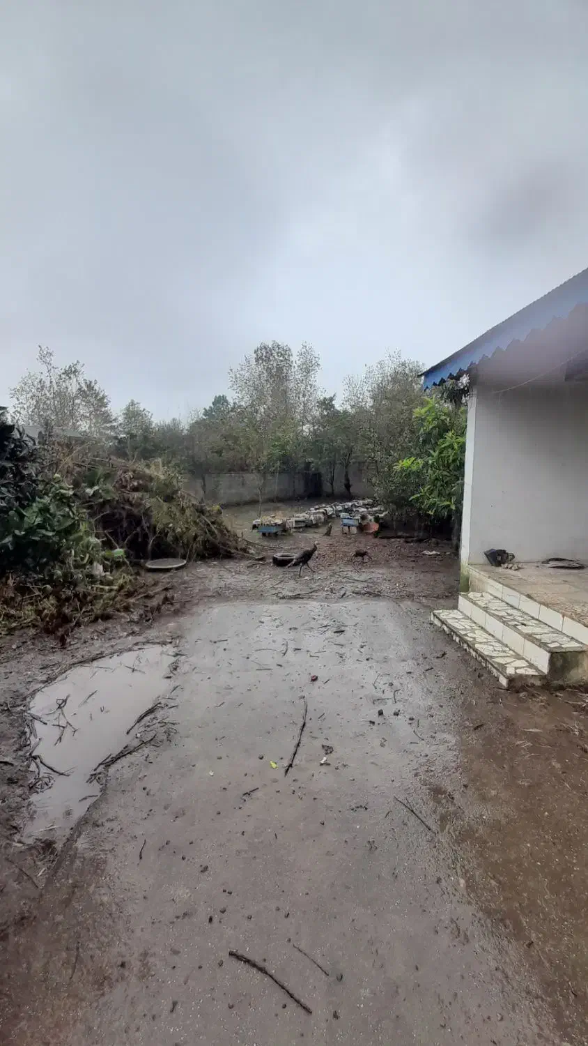 فروش زمین و خانه قدیمی|فروش زمین و ملک کلنگی|رضوانشهر, |دیوار