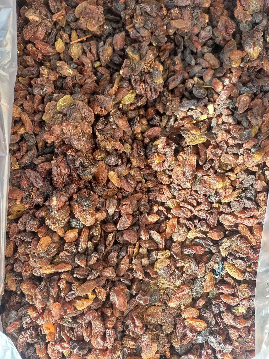 کشمش فروشی|عمدهفروشی|دلیجان, |دیوار