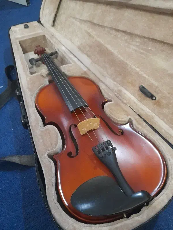 ویولن tf ۴/۴|ویولن|برازجان, |دیوار