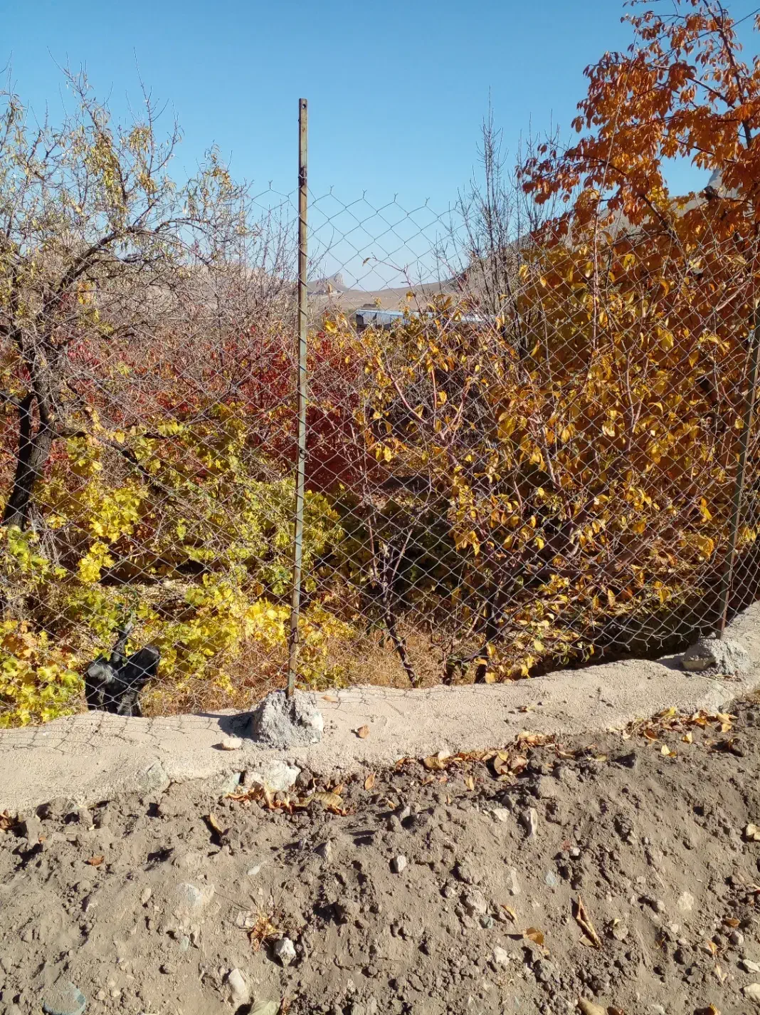 باغ|فروش زمین و ملک کلنگی|نیاسر, |دیوار