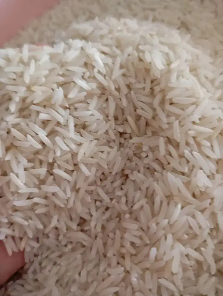 ارسال به کل شهرا تنکابن هستیم حضوری تشریف بیارید|حراج|تنکابن, |دیوار