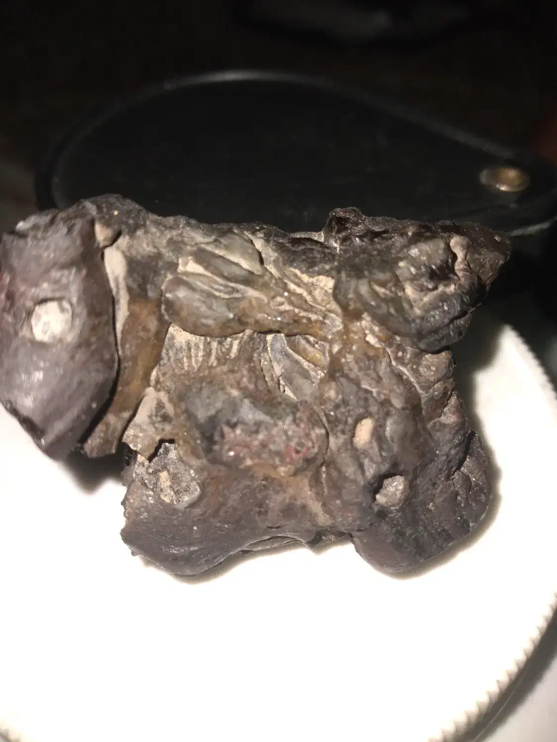 شهاب سنگ مریخی|جواهرات|نوبران, |دیوار