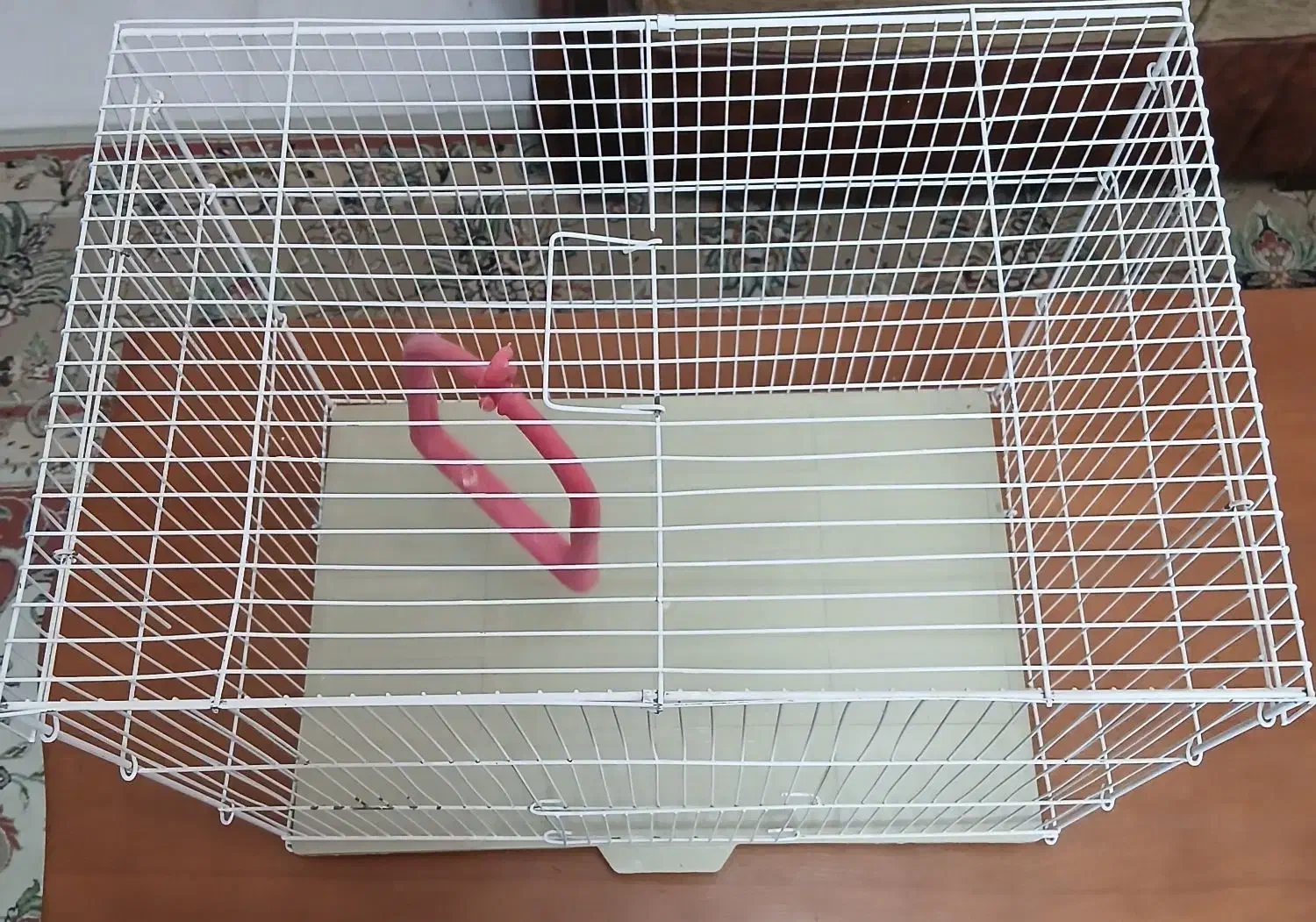 قفس پرنده|لوازم جانبی حیوانات|مشهد, چهارچشمه|دیوار